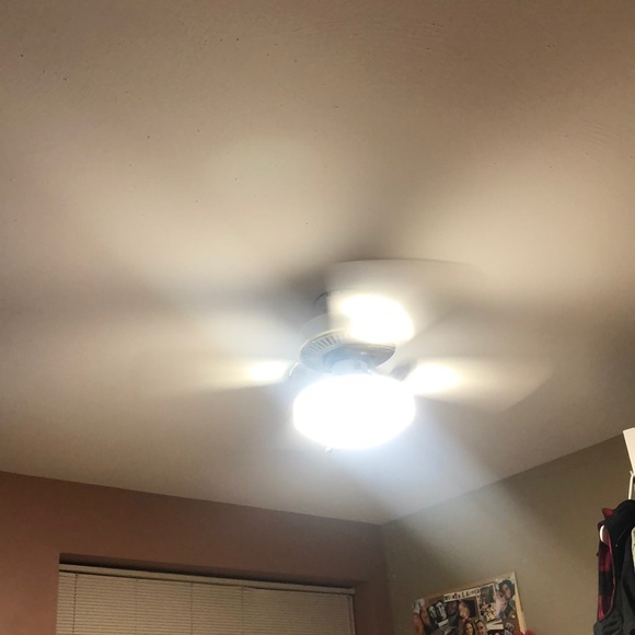 Meet your Posher, Brad - Picture 1 of 1